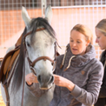 Pferdekommunikation_Lara Wielgomas und Sabine Angemeer